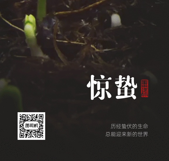 黑色簡約驚蟄節(jié)氣植物生長GIF海報(bào)