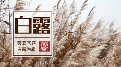 唯美二十四节气之白露gif横图