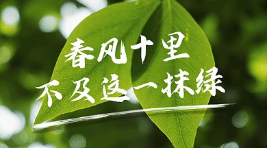植樹節(jié)唯美綠色動態(tài)攝影圖gif橫圖