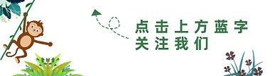 小猴子動(dòng)態(tài)旅游行業(yè)引導(dǎo)關(guān)注