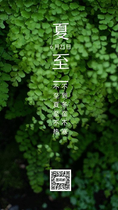 夏至陽光照射綠色植被攝影圖gif手機海報