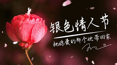 銀色情人節(jié)玫瑰花花瓣飄舞gif橫圖