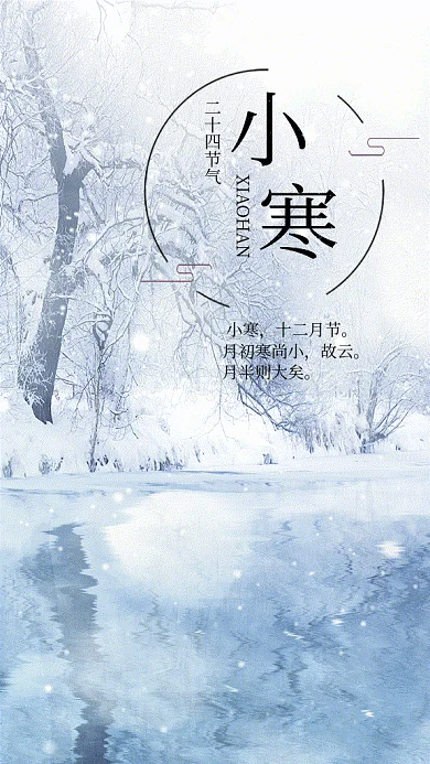 小寒节气下雪白色写实gif手机海报