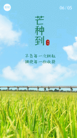 芒種清新藍(lán)色創(chuàng)意攝影圖gif手機(jī)海報(bào)