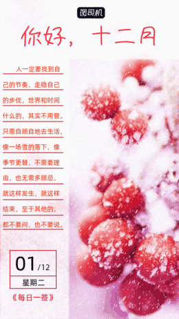 你好十二月寫實(shí)gif豎版海報(bào)