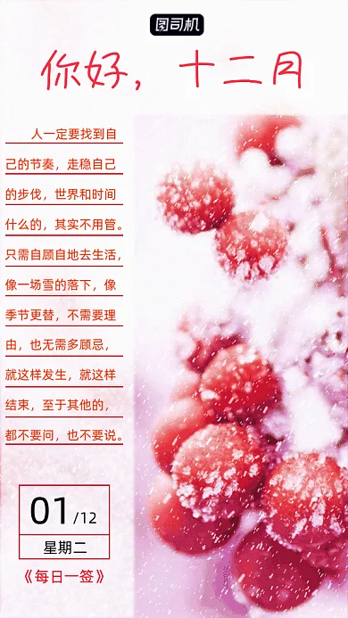 你好十二月写实gif竖版海报