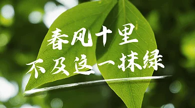 植树节唯美绿色动态摄影图gif横图