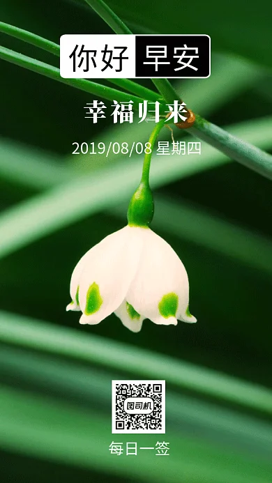 绿色文艺插画你好早安日签GIF海报