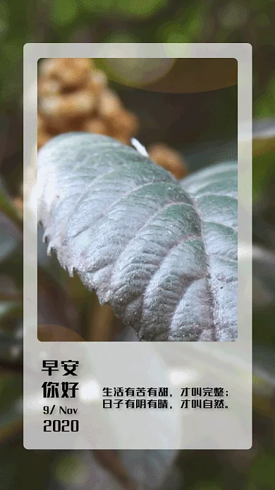 清新简约早安日签gif竖版海报