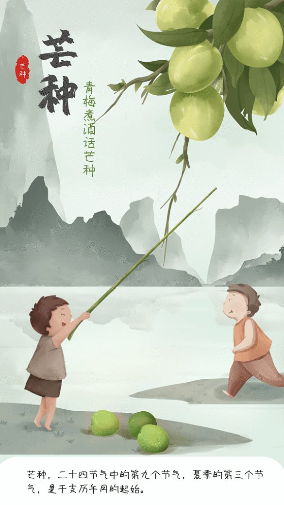 芒種節(jié)氣GIF動態(tài)海報