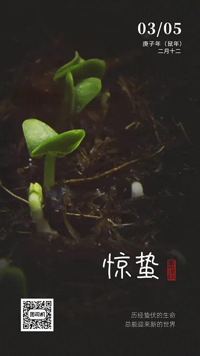 黑色简约惊蛰节气植物生长GIF海报
