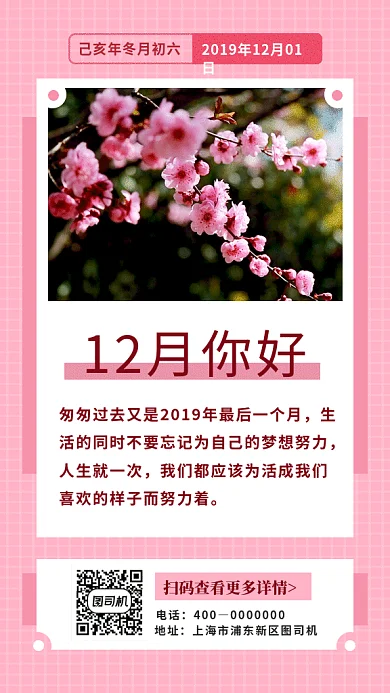 粉色清新梅花开放12月你好GIF海报