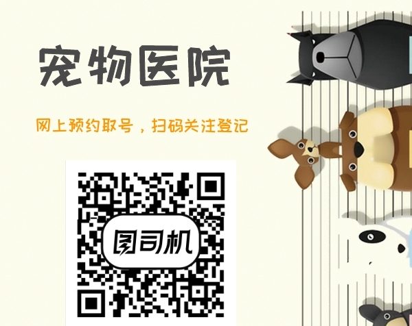 寵物醫(yī)院二維碼掃碼