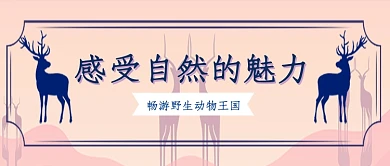 畅游野生动物王国微信公众号素材图片