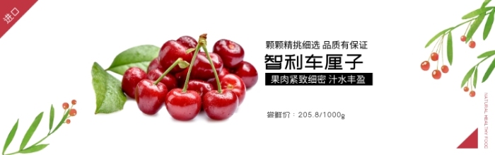智利車?yán)遄娱L線淘寶banner