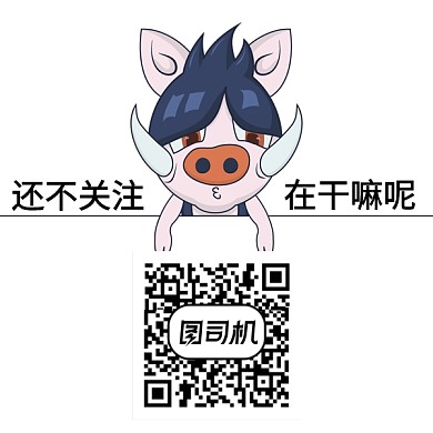 豬關注簡約新媒體二維碼