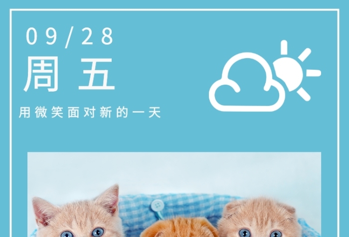 黃色高清動(dòng)物日簽手機(jī)海報(bào)