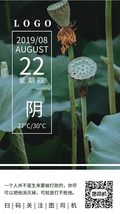 八月你好荷花摄影简约日签海报