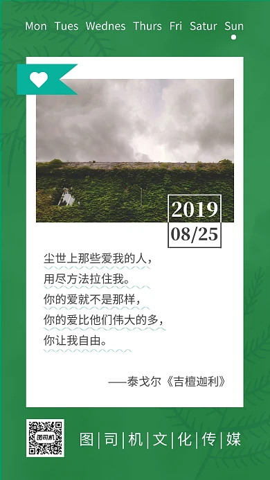 八月你好绿色简约摄影日签海报