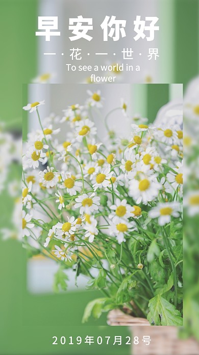 綠色高清菊花7月28號早安手機海報