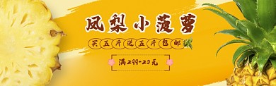 鳳梨小菠蘿海報