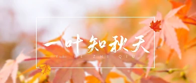 黄色金秋秋天季节宣传广告模板微信公众号素材图片