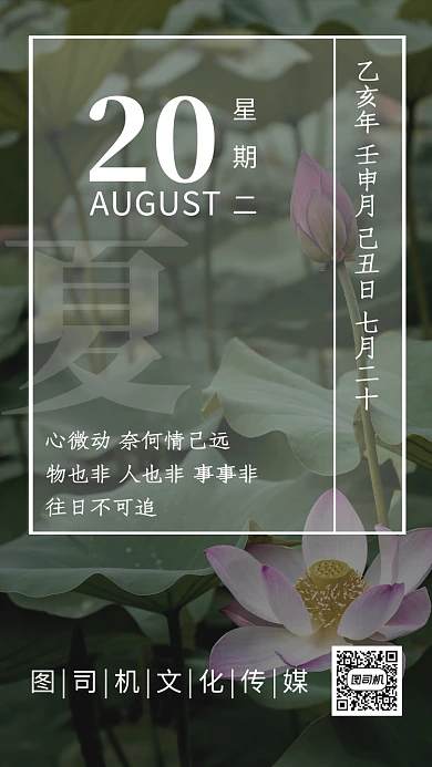 八月荷花夏日简约摄影绿色鸡汤日签海报