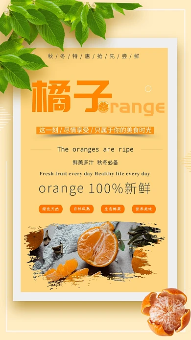 橘子小清新简约宣传手机海报