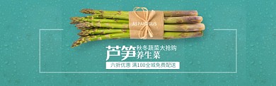 綠色水果蔬菜蘆筍促銷banner