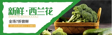 绿色水果蔬菜西兰花促销banner