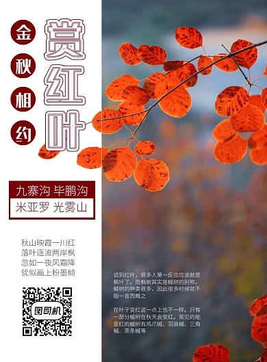 红灰秋季红叶旅游海报