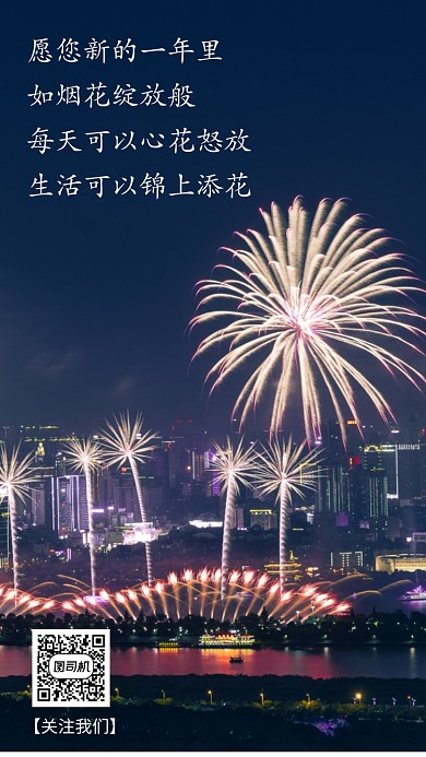 新年賞煙花祝福手機海報