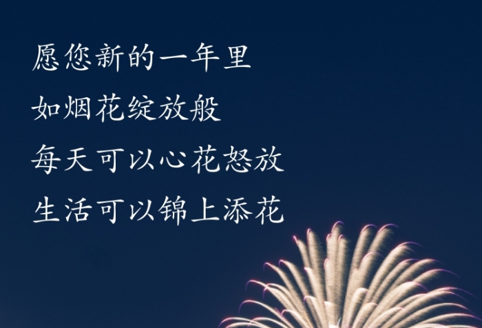 新年賞煙花祝福手機(jī)海報(bào)