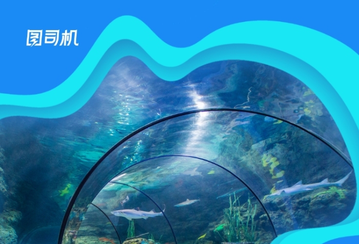 蓝色简约水族馆订票手机海报 蓝色简约水族馆订票手机海报