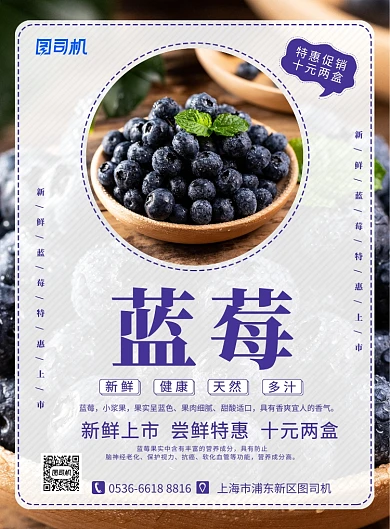 创意餐饮美食水果新鲜蓝莓尝鲜特惠印刷海报