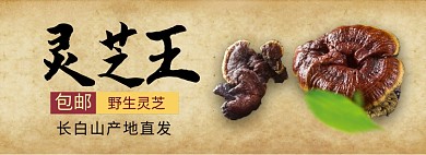 靈芝王淘寶banner