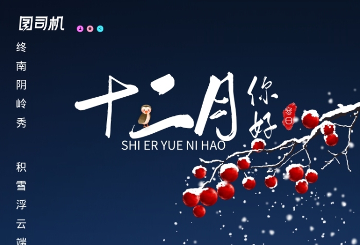 藍(lán)色紅果雪花景色日出冬十二月海報(bào)