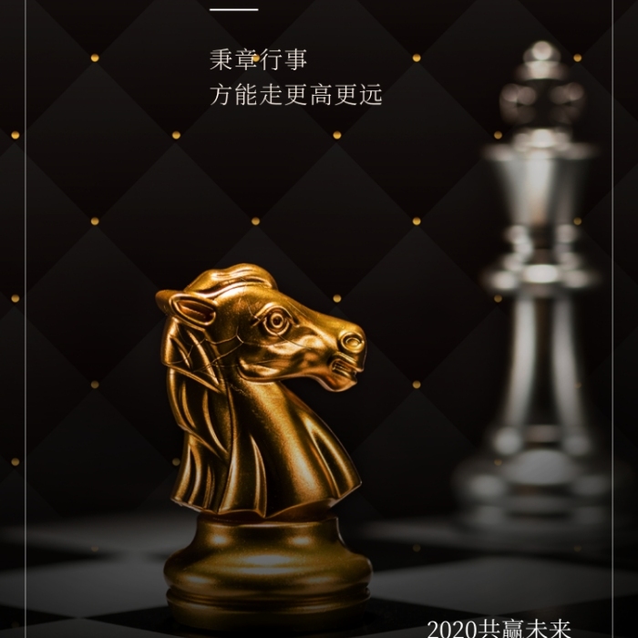 黑金大氣規(guī)矩勵(lì)志企業(yè)文化海報(bào)