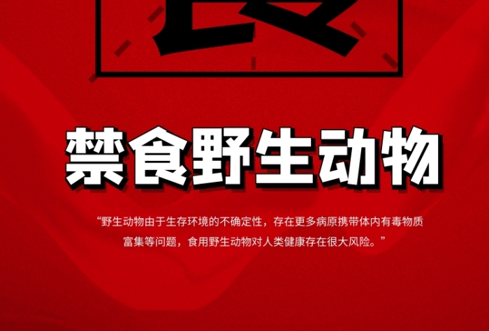 紅色創(chuàng)意禁食野生動物公益海報