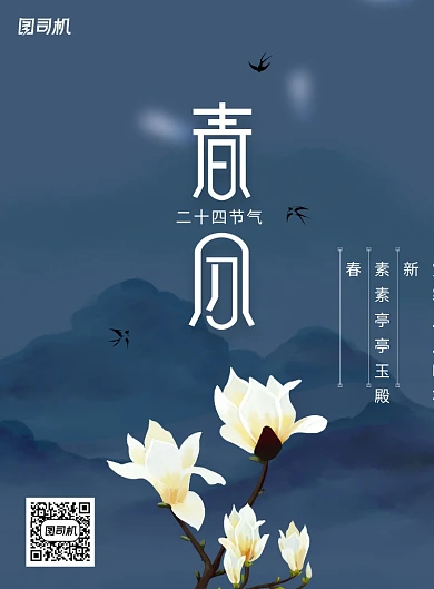 简约玉兰花春分节气海报