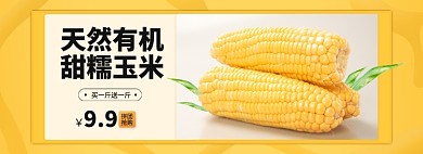 生鮮蔬菜有機(jī)玉米簡約風(fēng)格促銷食品海報