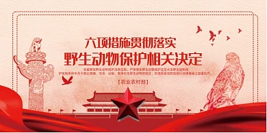野生动物保护法展板