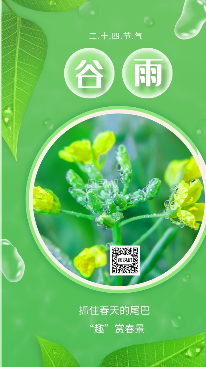 创意绿色气泡谷雨节气宣传手机海报 创意绿色气泡谷雨节气宣传手机海报