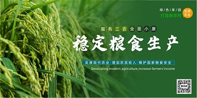 糧食生產(chǎn)發(fā)展農(nóng)業(yè)水稻宣傳展板