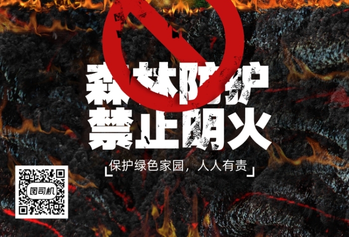 森林防火禁止明火宣傳海報(bào)