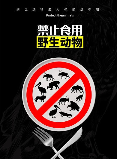 简约大气禁止食用野生动物海报