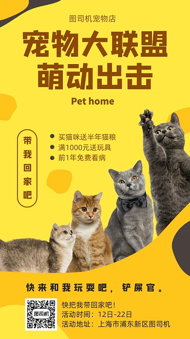 猫咪宠物店宣传海报
