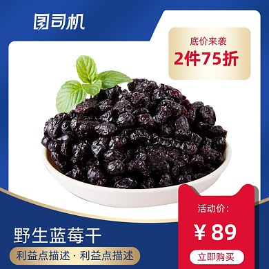 年中盛典食品藍(lán)莓干大促主圖