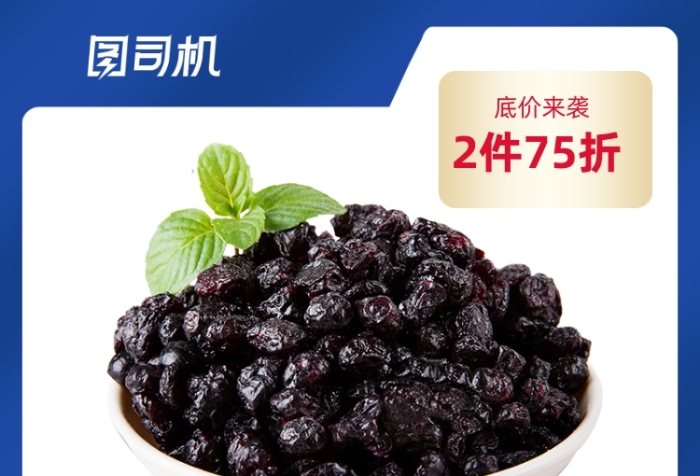 年中盛典食品藍莓干大促主圖