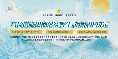 贯彻落实野生动物保护决定展板